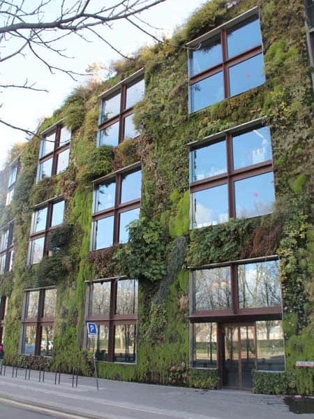 Living Walls and Vertical Gardens